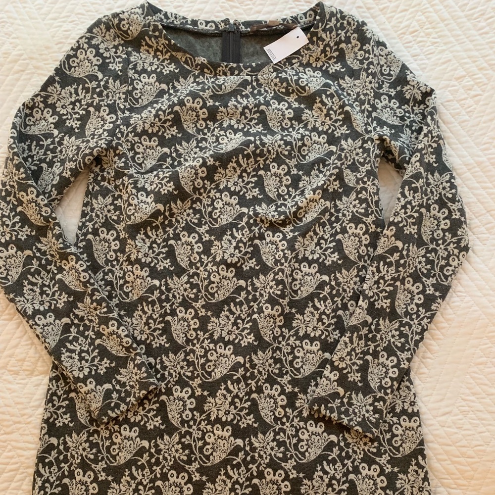 Ann Taylor Loft XS Dress